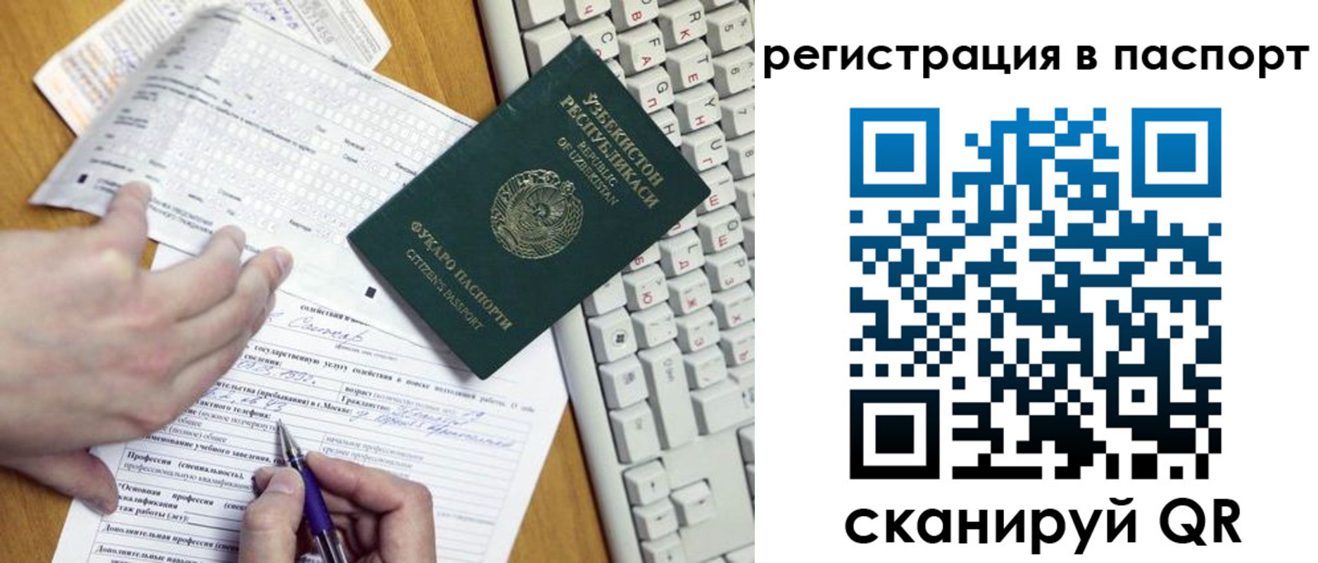 прописка поиск в Елизово